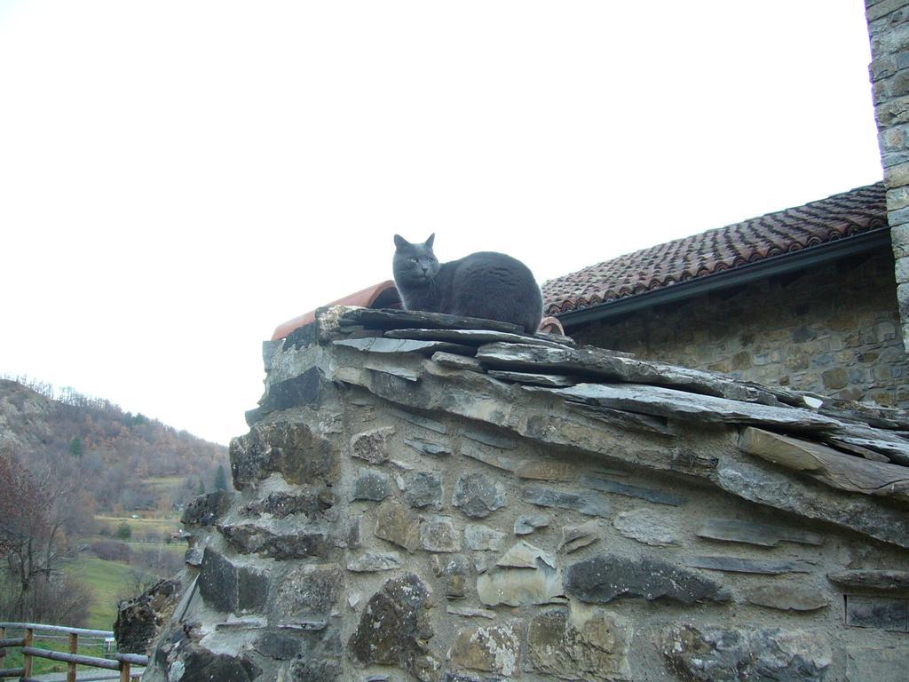 Castello Malaspina Di Gambaro Ferriere Exterior foto