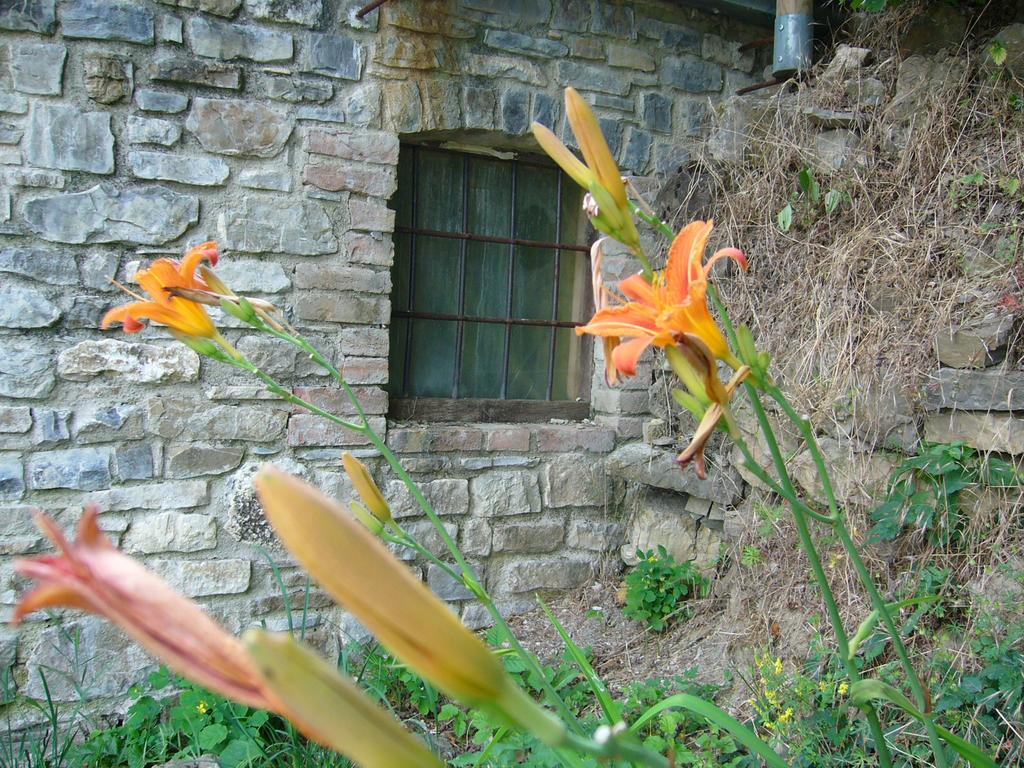 Castello Malaspina Di Gambaro Ferriere Exterior foto