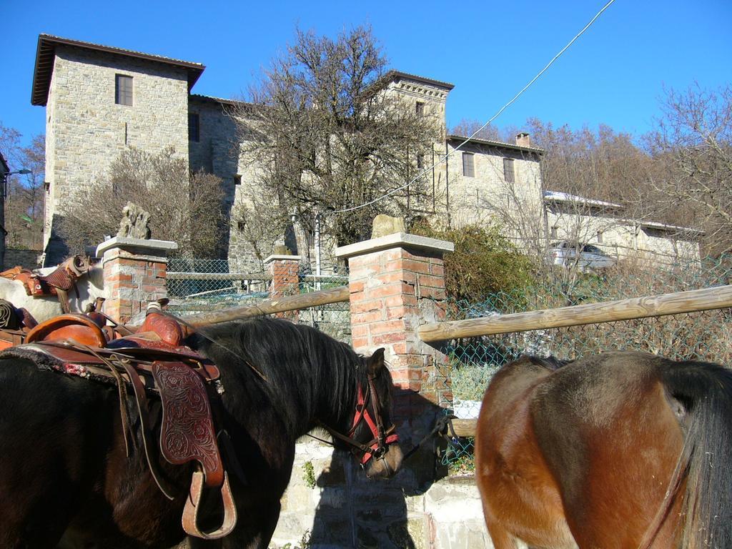 Castello Malaspina Di Gambaro Ferriere Exterior foto